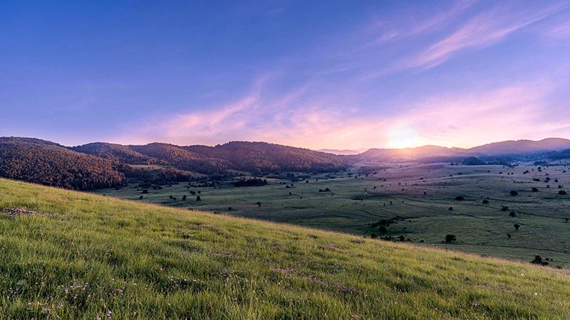 FIELDS_WEB_001 A tranquil landscape with a grassy hillside in the foreground, a valley with scattered trees in the midground, and forested hills in the background beneath a sky painted in soft purple, pink, and blue hues during sunrise or sunset.